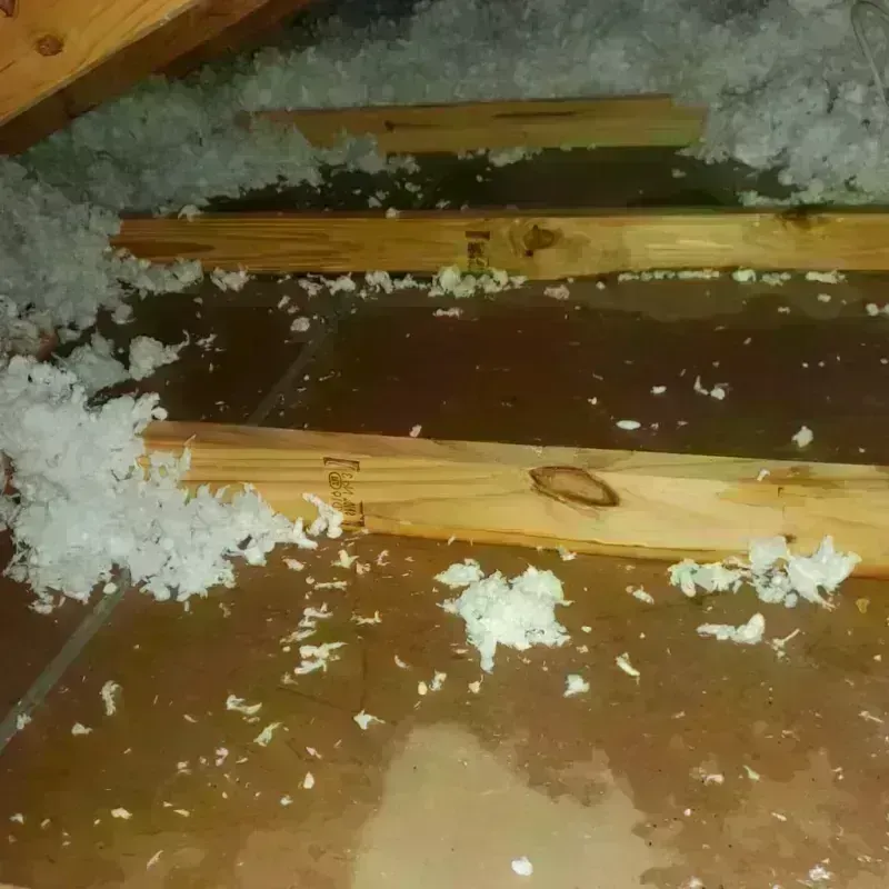 Attic Water Damage in Druid Hills, GA