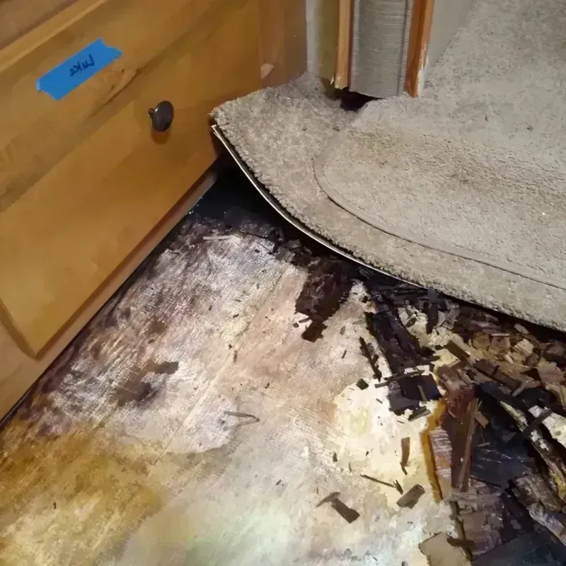 Best Wood Floor Water Damage Service in Druid Hills, GA